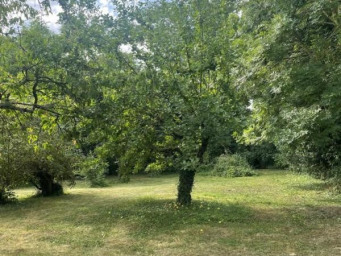 Maison a louer dreux - 2 pièce(s) - 58 m2 - Surfyn