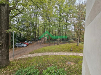 Appartement a louer le plessis-robinson - 1 pièce(s) - 15 m2 - Surfyn