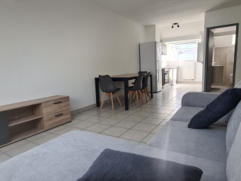 Appartement a louer annemasse - 1 pièce(s) - 45 m2 - Surfyn