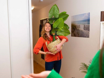 Appartement a louer palaiseau - 1 pièce(s) - 18 m2 - Surfyn