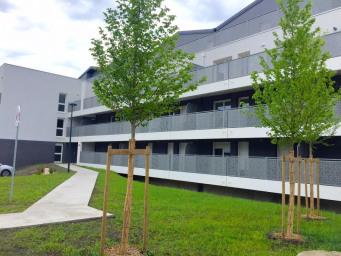 Appartement a louer villenave-d'ornon - 3 pièce(s) - 63 m2 - Surfyn