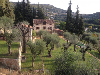 Maison a louer grasse - 7 pièce(s) - 190 m2 - Surfyn