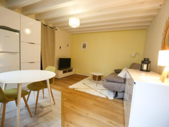 Appartement a louer vierzon - 1 pièce(s) - 20 m2 - Surfyn