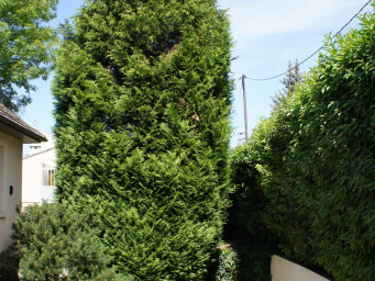 Maison a louer clamart - 7 pièce(s) - 250 m2 - Surfyn