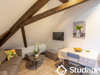 Appartement a louer colmar - 1 pièce(s) - 10 m2 - Surfyn