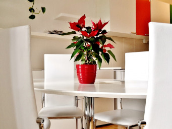 Appartement a louer courbevoie - 1 pièce(s) - 87 m2 - Surfyn