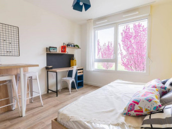 Appartement a louer schiltigheim - 1 pièce(s) - 17 m2 - Surfyn