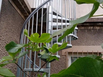 Appartement a louer saint-maur-des-fosses - 1 pièce(s) - 28 m2 - Surfyn