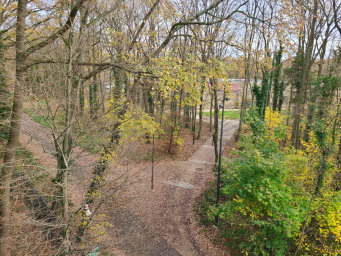 Appartement a louer tremblay-en-france - 2 pièce(s) - 41 m2 - Surfyn