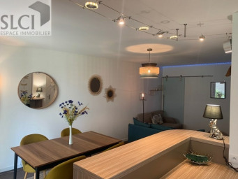 129 Annonces De Location D Appartements A Lyon 7eme 69 Seloger Com