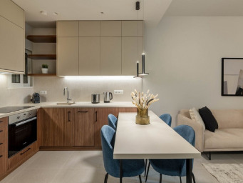 Appartement 2 pièce(s) 84 m²à louer Lyon-2e-arrondissement