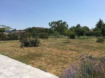 Maison a louer villefranche-sur-saone - 1 pièce(s) - 160 m2 - Surfyn