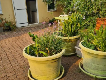 Appartement a louer niort - 1 pièce(s) - 18 m2 - Surfyn