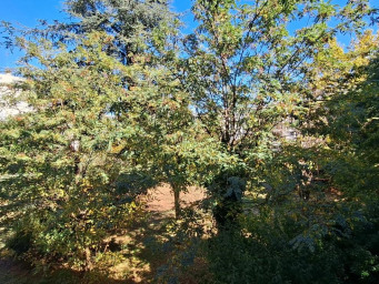 Appartement a louer beziers - 1 pièce(s) - 27.85 m2 - Surfyn