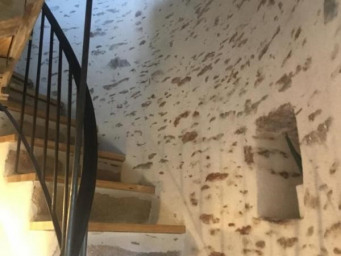 Maison a louer - 2 pièce(s) - 21 m2 - Surfyn