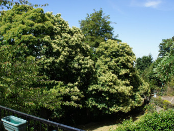 Maison a louer clamart - 7 pièce(s) - 250 m2 - Surfyn