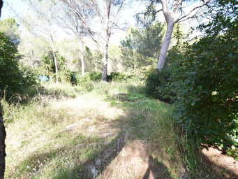 Maison a louer marseille-1er-arrondissement - 3 pièce(s) - 56 m2 - Surfyn