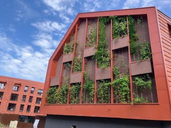 Appartement a louer besancon - 1 pièce(s) - 28.81 m2 - Surfyn