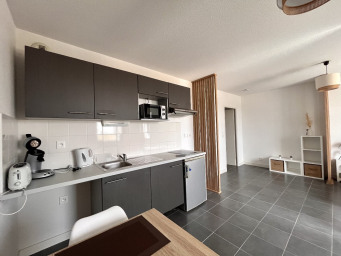 Appartement a louer blagnac - 1 pièce(s) - 36 m2 - Surfyn
