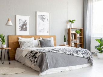 Appartement 322 000 € - 44 m²