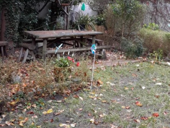 Maison a louer montreuil - 4 pièce(s) - 62.73 m2 - Surfyn