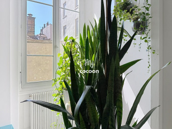 Appartement 510 000 € - 81 m²