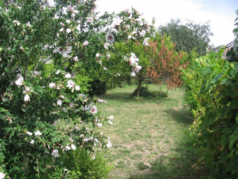 Maison a louer tours - 5 pièce(s) - 97.04 m2 - Surfyn