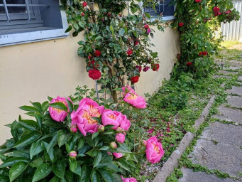 Maison a louer mantes-la-jolie - 6 pièce(s) - 127 m2 - Surfyn