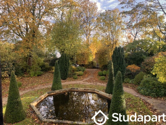 Appartement a louer mont-saint-aignan - 1 pièce(s) - 16 m2 - Surfyn