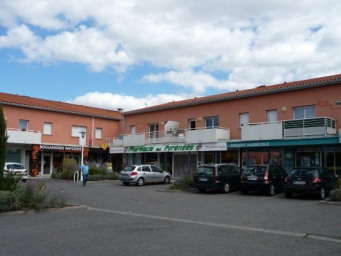 20 annonces de location à la Salvetat-Saint-Gilles (31), Seloger.com