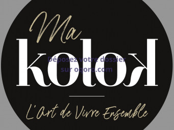 Maison a louer lille - 12 pièce(s) - 300 m2 - Surfyn