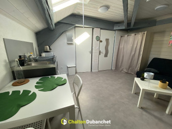 Appartement a louer roanne - 1 pièce(s) - 15 m2 - Surfyn
