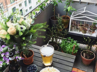 Appartement 357 000 € - 62 m²