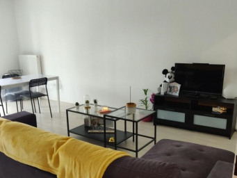 Appartement a louer lille - 4 pièce(s) - 80 m2 - Surfyn