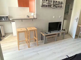 Appartement a louer belfort - 1 pièce(s) - 18 m2 - Surfyn