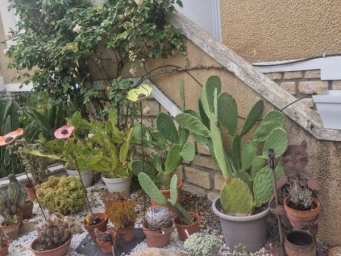 Appartement a louer chatellerault - 1 pièce(s) - 22 m2 - Surfyn