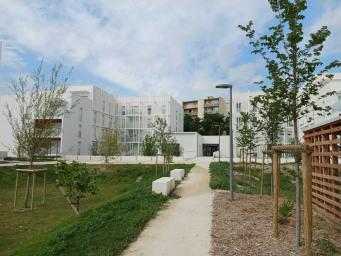 Appartement a louer avignon - 1 pièce(s) - 29.9 m2 - Surfyn