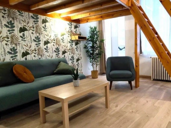 Appartement 1 pièce(s) 129 m²à louer Lille