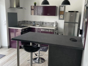 Maison a louer quimper - 2 pièce(s) - 30 m2 - Surfyn