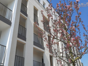 Appartement a louer athis-mons - 1 pièce(s) - 31.6 m2 - Surfyn