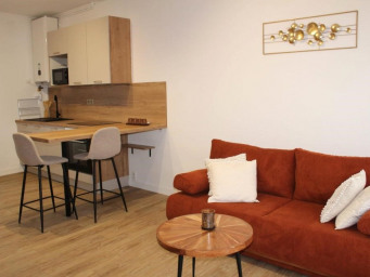 Maison a louer albi - 2 pièce(s) - 44 m2 - Surfyn