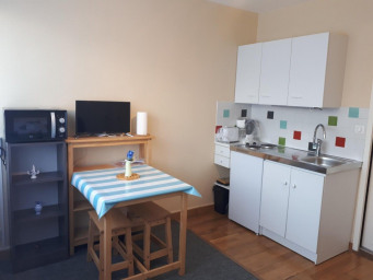 Appartement a louer caluire-et-cuire - 1 pièce(s) - 17 m2 - Surfyn