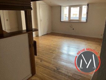 Appartement 2 pièce(s) 49.68 m²à louer Lyon-2e-arrondissement