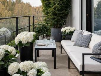 Appartement 445 000 € - 66 m²