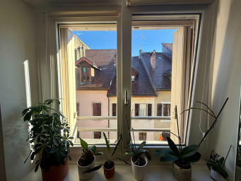Appartement a louer annecy - 1 pièce(s) - 24 m2 - Surfyn