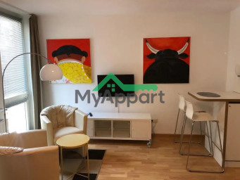 Appartement a louer paris-15e-arrondissement - 1 pièce(s) - 32 m2 - Surfyn