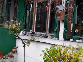 Maison a louer montreuil - 4 pièce(s) - 62.73 m2 - Surfyn