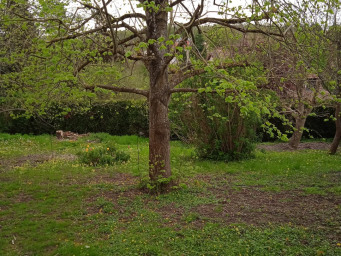 Maison a louer vernon - 4 pièce(s) - 111.82 m2 - Surfyn