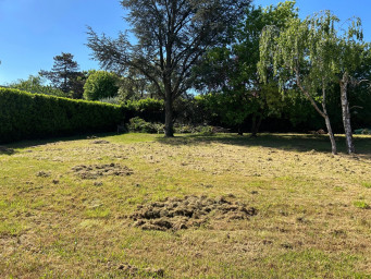 Maison a louer lyon-1er-arrondissement - 5 pièce(s) - 130 m2 - Surfyn