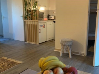 Appartement a louer cagnes-sur-mer - 2 pièce(s) - 40 m2 - Surfyn